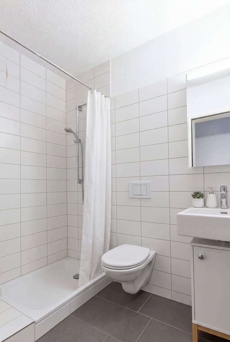 Exclusive 5.5-room attic apartment in Magden 2.1 (5)