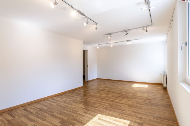 Detached 7-room single-family or generation house (8)