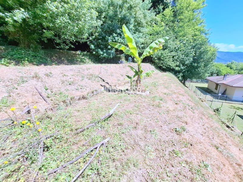 Einfamilienhaus mit Garten und Garage in Bizzarone (4)