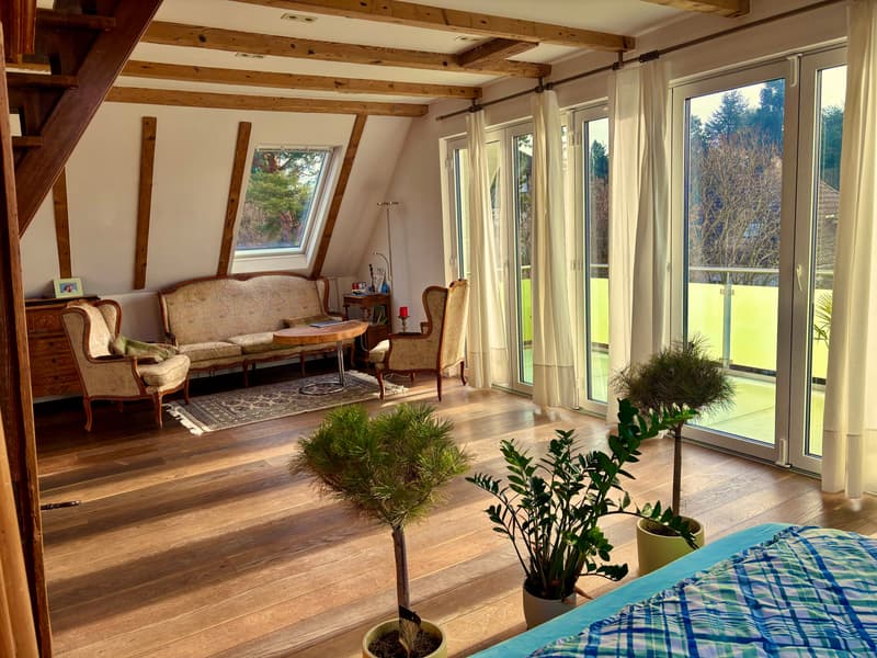 Charmante 3.5-Zimmer-Attikawohnung mit sonniger Terrasse und besonderen Extras (5)