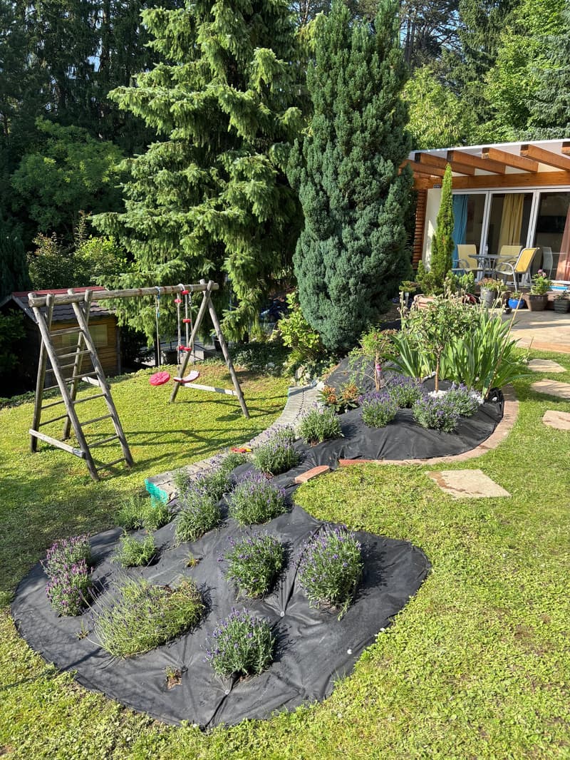 Drei Wohnungen, Garten & besondere Extras - vielseitiges Wohnhaus in Grenchen (2)