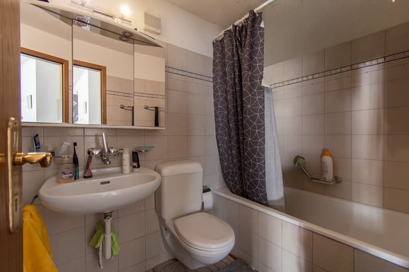 Bright 2.5-room apartment with two balconies (7)