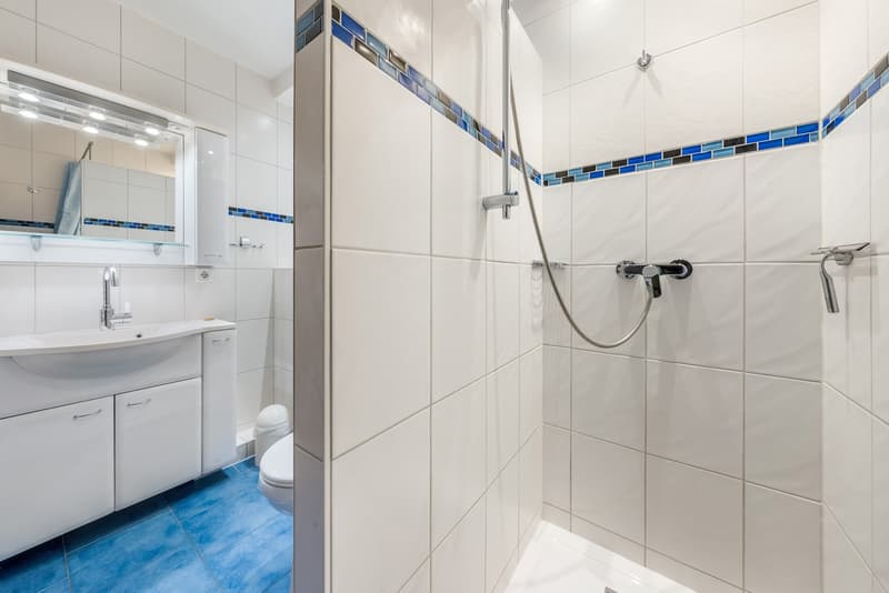 white tiles, blue tiles on the floor, white sink, mirror, toilet, shower