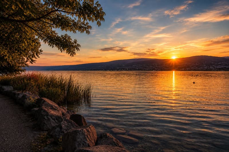Abendstimmung am Zürichseeufer in Küsnacht: Ruhige Naturwege, idyllischer Weiher und waldreiche Umgebung nur wenige Minuten entfernt. Ein exklusiver Rückzugsort mit einzigartiger Kombination aus See, Natur und hoher Lebensqualität