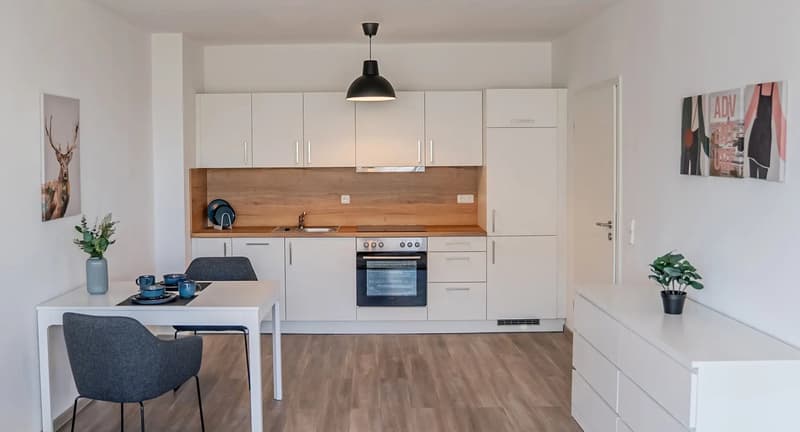 Charmant appartement 2,5 pièces à Magdeburg – bien loué ! (8)