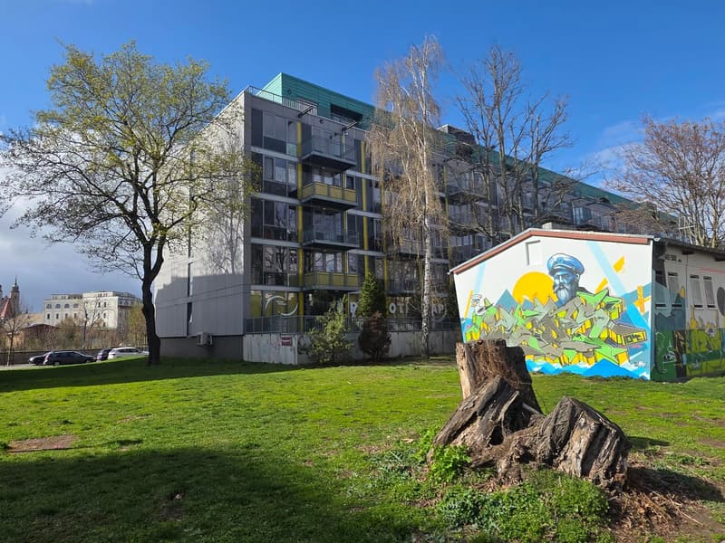 Charmant appartement 2,5 pièces à Magdeburg – bien loué ! (2)