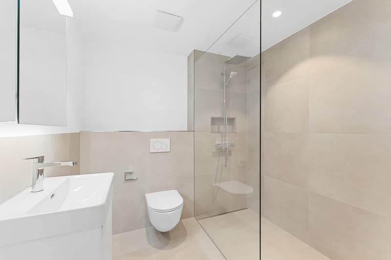The "House in a House": 4.5-room apartment with loggia and additional studio ! A-1.1 (30)