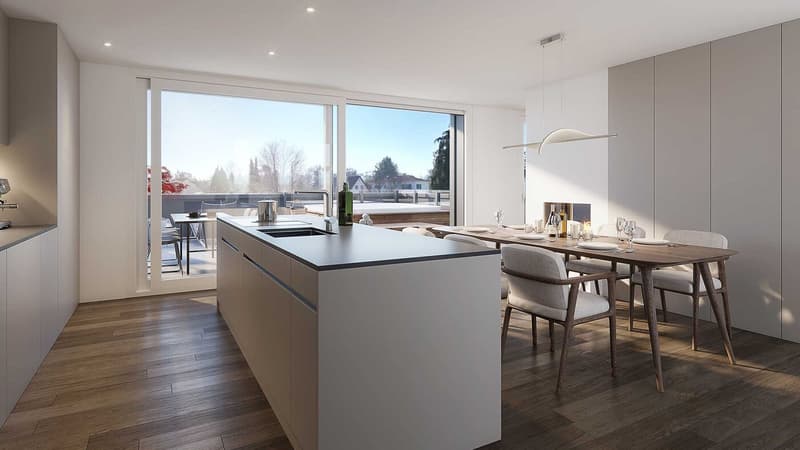 The special gem: Unique attic apartment in Bottmingen! (8)