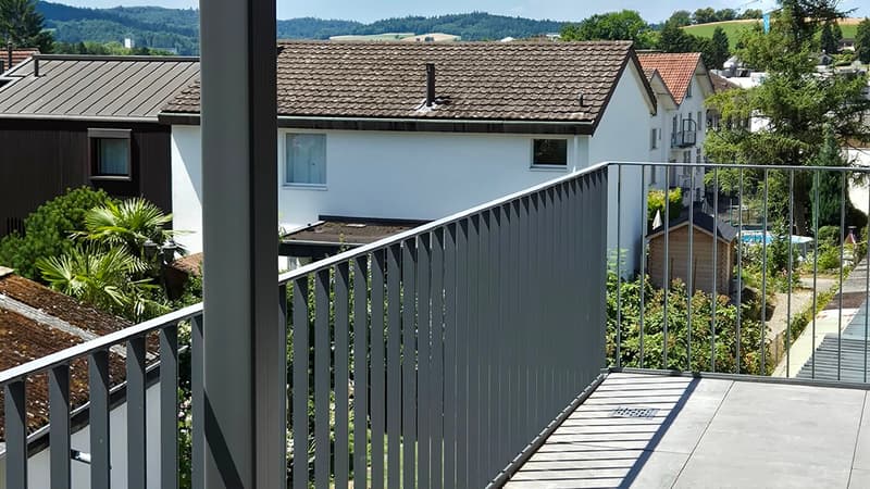 Un appartement spécial cherche des occupants spéciaux! Première occupation! (10)