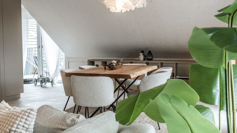 Eine "unentdeckter Schatz" : Besondere Wohnung sucht besondere Bewohner! Erstbezug ! (10)