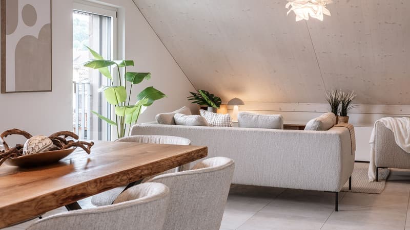 Eine "unentdeckter Schatz" : Besondere Wohnung sucht besondere Bewohner! Erstbezug ! (7)