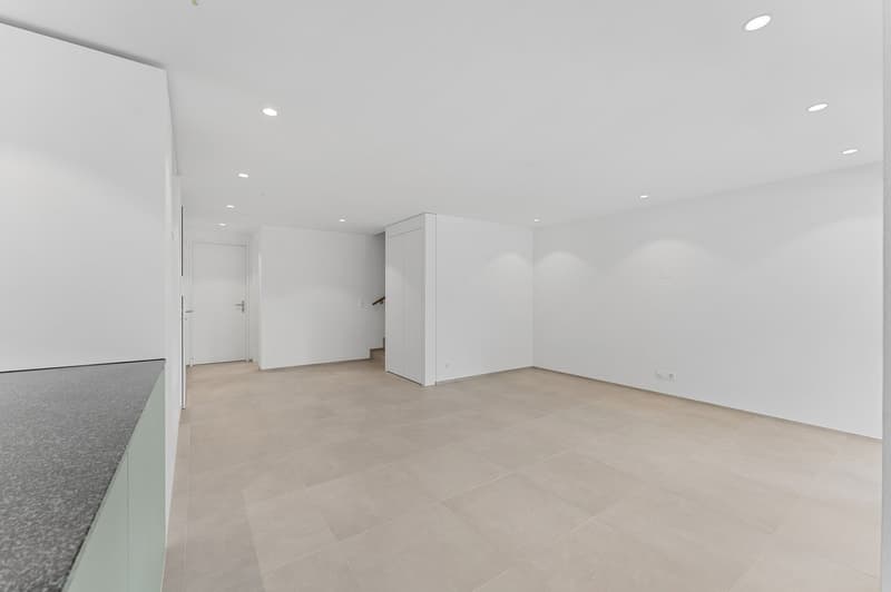 Das "Haus im Haus": 4,5-Zimmer-Wohnung mit Loggia und zusätzlichem Atelier ! A-1.1 (13)
