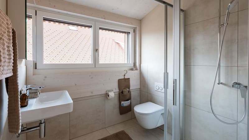 Eine "unentdeckter Schatz" : Besondere Wohnung sucht besondere Bewohner! Erstbezug ! (15)