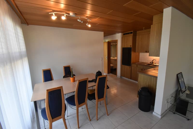 Maison de famille exclusive et extrêmement spacieuse de 8½ pièces avec annexe (10)