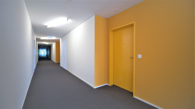 Studio moderne à Delémont (5)