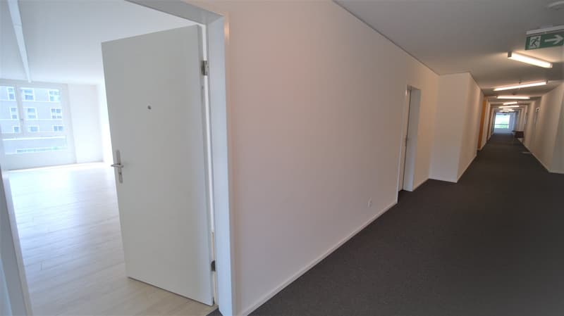 Studio moderne à Delémont (3)