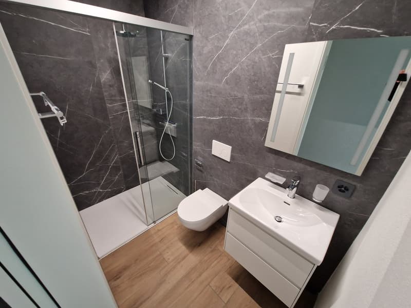 modern bathroom with walk-in shower, white toilet, white sink, mirror, wooden floor