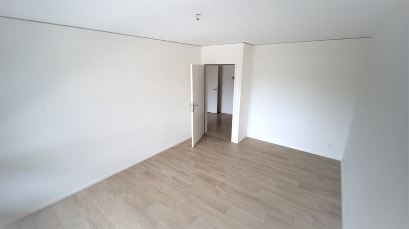 Appartement 2.5 pièces lumineux (4)