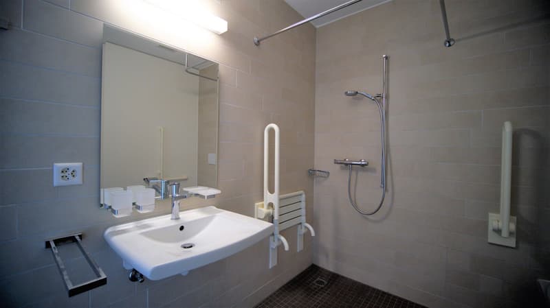 Appartement 2.5 pièces lumineux (8)