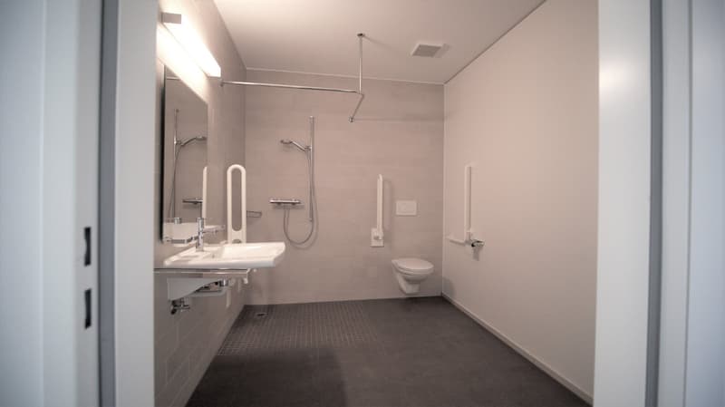 Appartement 2.5 pièces lumineux (7)