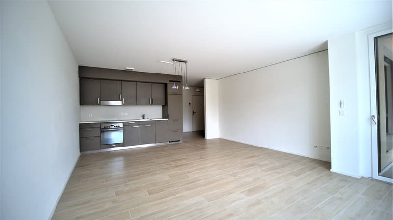 Appartement 2.5 pièces lumineux (1)