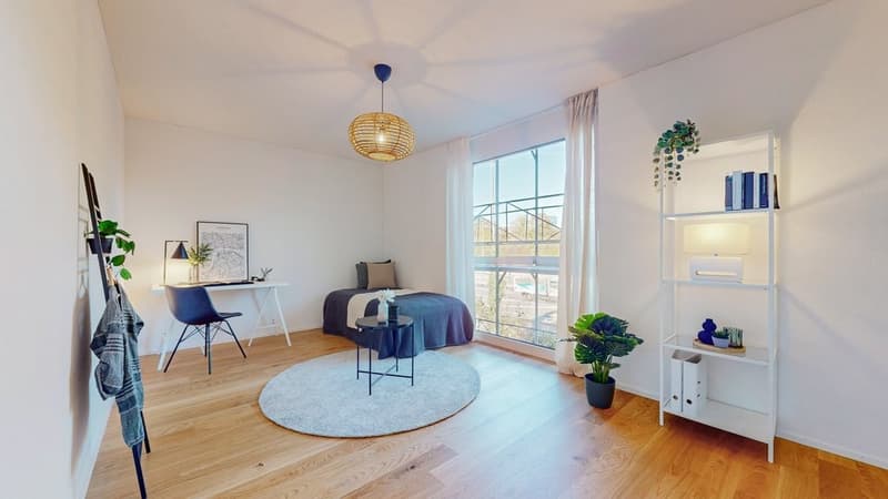 4.5-Zi-Whg-in-Muenchenstein-Zimmer-3_1.jpg