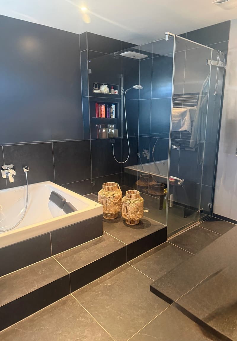 3.5 Zimmer-Attikawohnung in Zürich mieten (4)