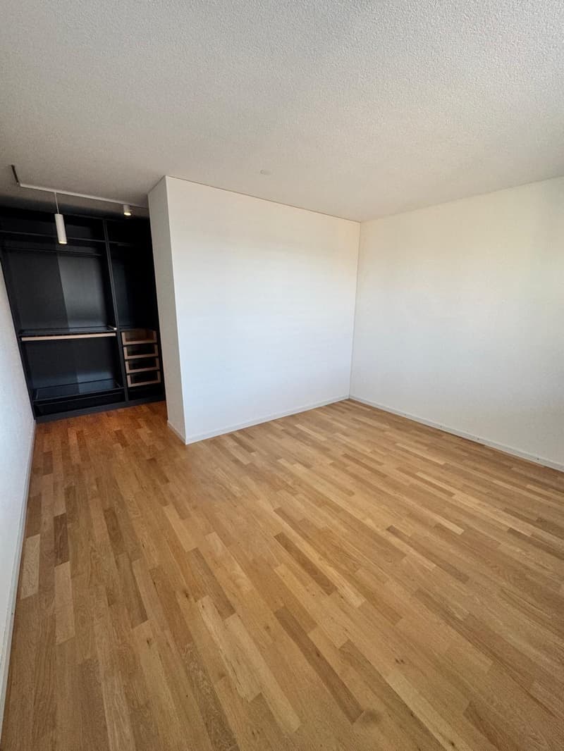 Ihr neues Zuhause im Leuenfeld Oensingen - 5-Zimmer Doppeleinfamilienhaus ab sofort verfügbar (8)
