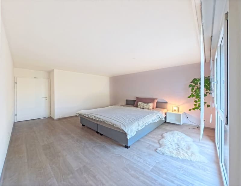 Charmante 4,5-Zi Wohnung mit 143 m² Garten und einem hellen 29m² grossen Hobbyraum (3)