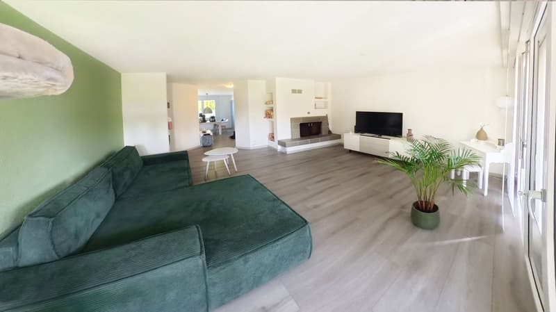 Charmante 4,5-Zi Wohnung mit 143 m² Garten und einem hellen 29m² grossen Hobbyraum (2)