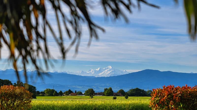 Villa der Superlative - Blick auf den See & Mont-Blanc (9)