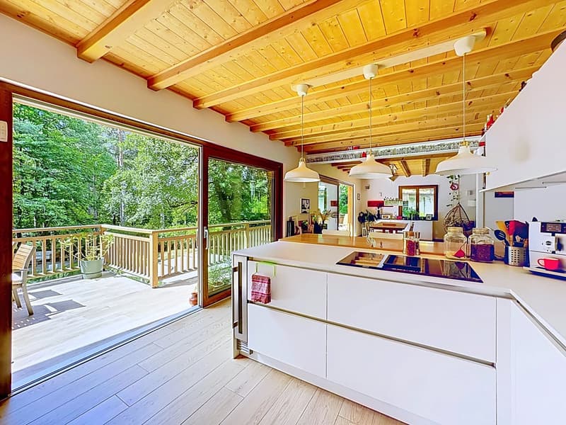 Magnifica villa ristrutturata con giardino paesaggistico (3)