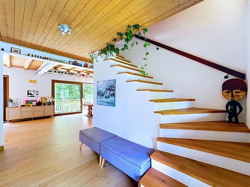 Magnifica villa ristrutturata con giardino paesaggistico (5)
