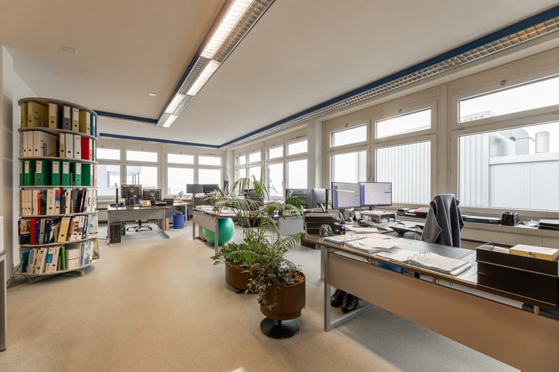 Versatile commercial spaces with administrative and storage areas (3)
