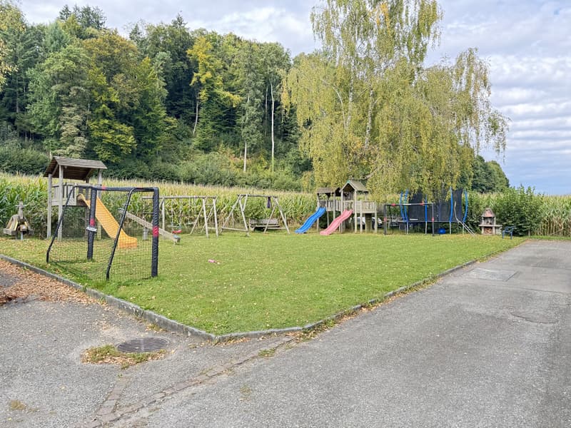Mehr als nur wohnen - Ihr neues Zuhause in Unterkulm (12)