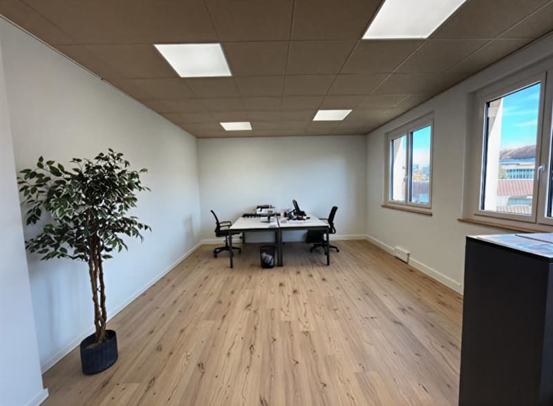 empty room, wooden floor, white walls, two desks, two chairs, potted plant, two windows