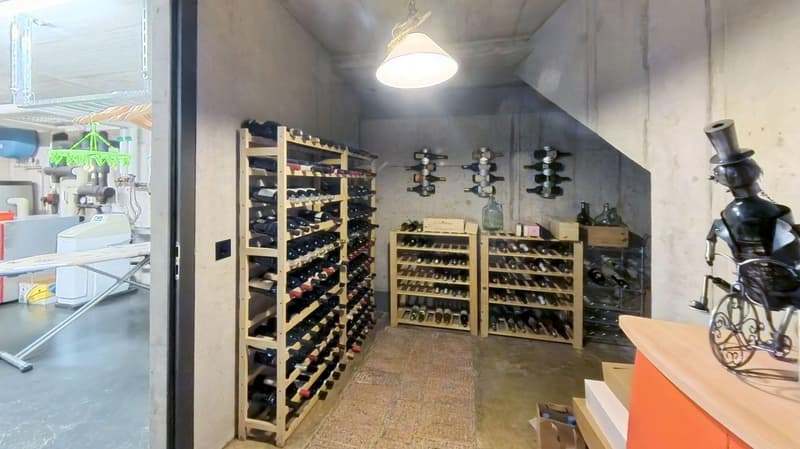 Wine cellar with wooden shelves, bottles of wine, lamp, iron sculpture, ironing board, storage boxes