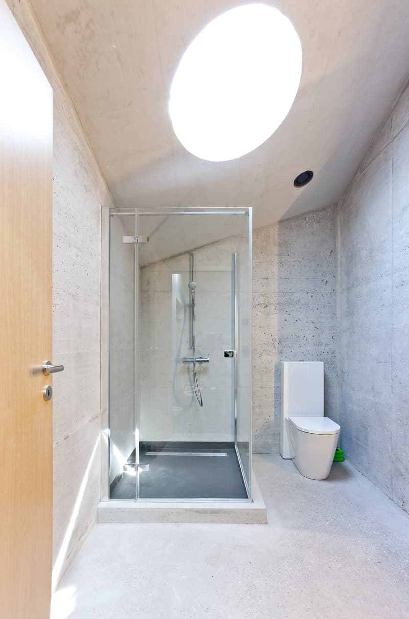 Modern bathroom with a glass shower enclosure, a white toilet, and a round skylight