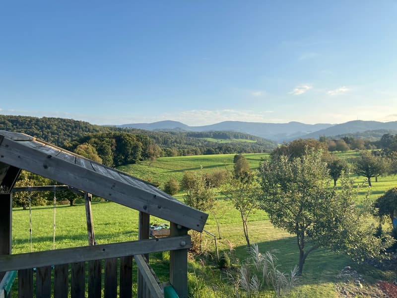 wooden playhouse, swing, green grass, trees, mountains in the distance