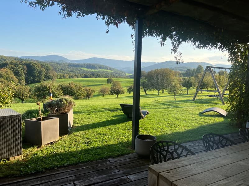 wooden deck, outdoor table, chairs, potted plants, swing, green lawn, distant mountains