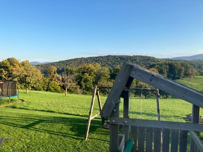 Green lawn, wooden swing set, trampoline, distant mountains, clear sky