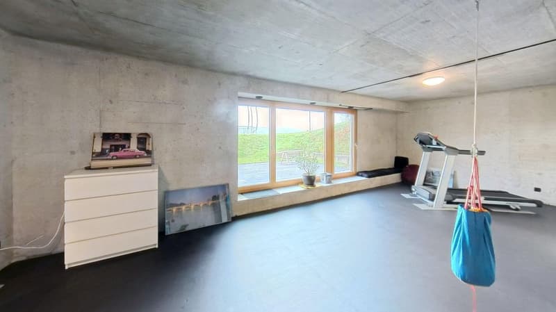 A room with a white cabinet, a picture frame, a treadmill, a bench, a potted plant, and a window with a view of a grassy hill.