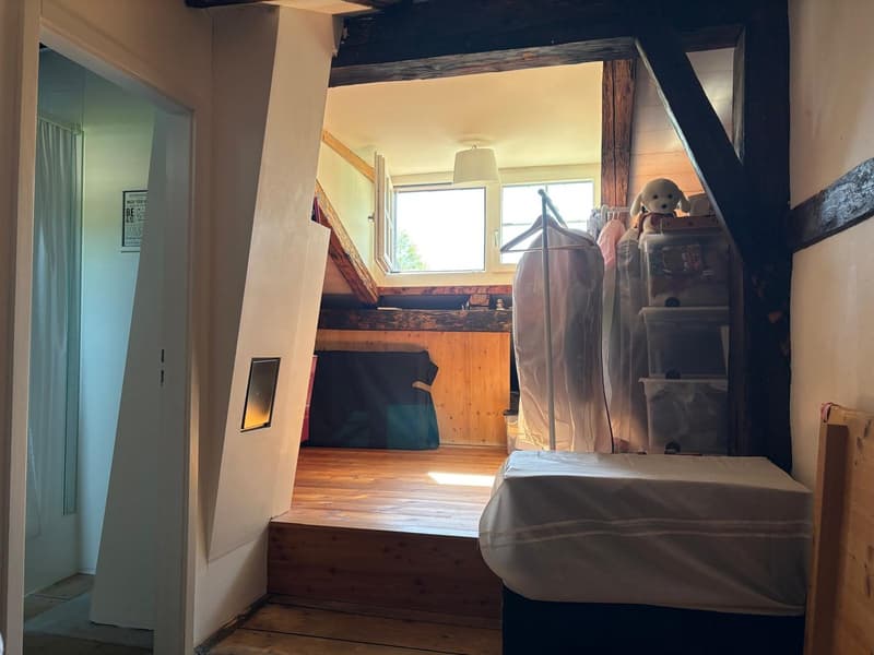 Charmantes 5.5-Zimmer-Flarzhaus in Bäretswil (12)
