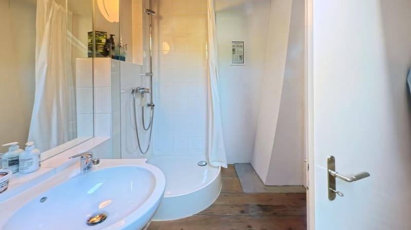 Charmantes 5.5-Zimmer-Flarzhaus in Bäretswil (15)