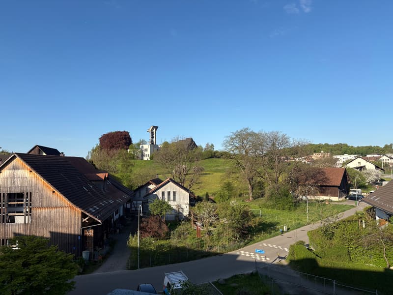 Bright and well-maintained 2.5-room attic apartment in Effretikon ZH (2)