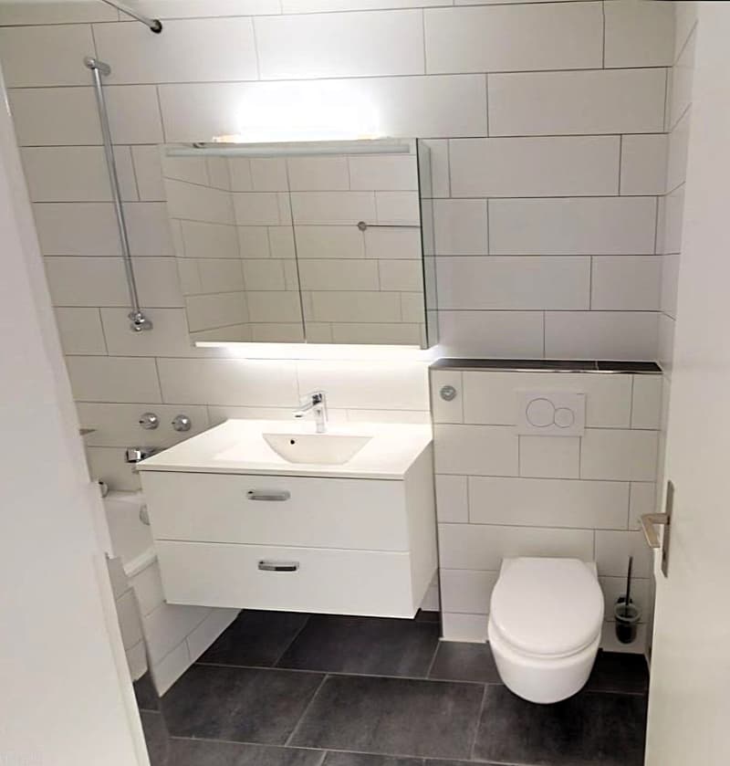 Bright and well-maintained 2.5-room attic apartment in Effretikon ZH (8)
