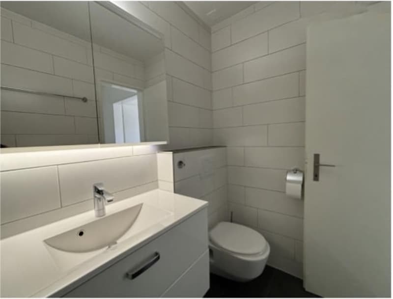 Bright and well-maintained 2.5-room attic apartment in Effretikon ZH (9)