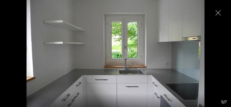 3.5-room old building apartment with private garden on Zürichbergstrasse (9)