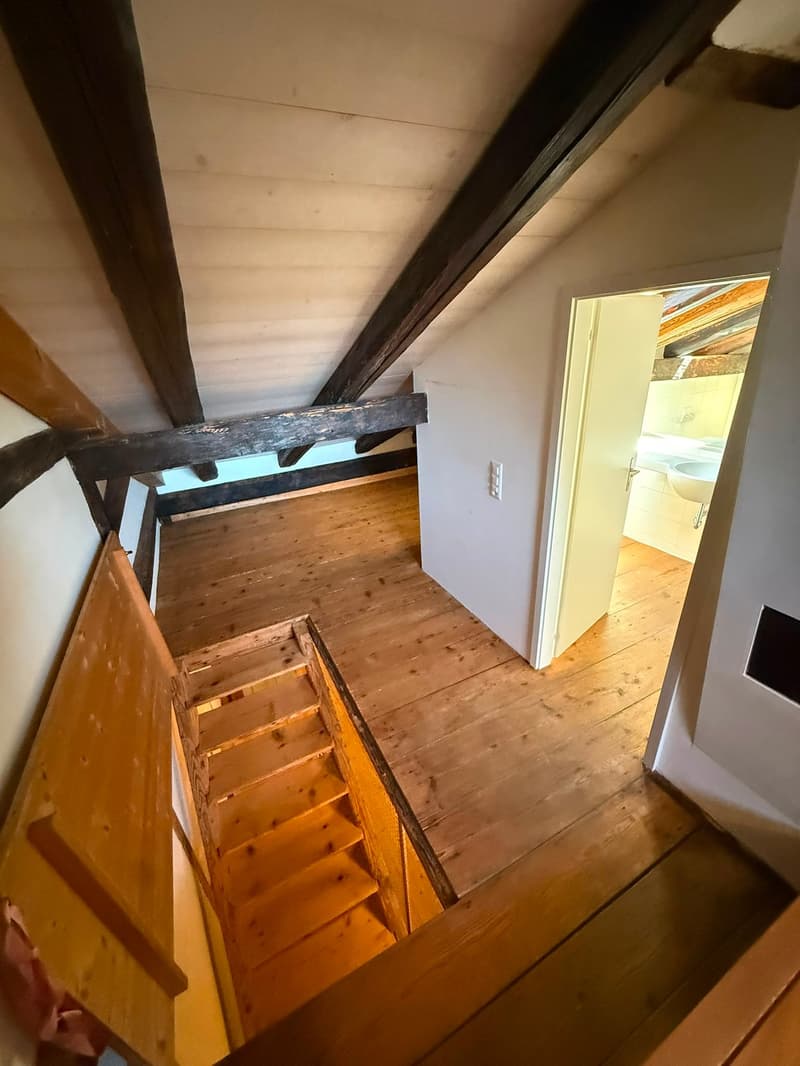 Charmantes 5.5-Zimmer-Flarzhaus in Bäretswil (7)