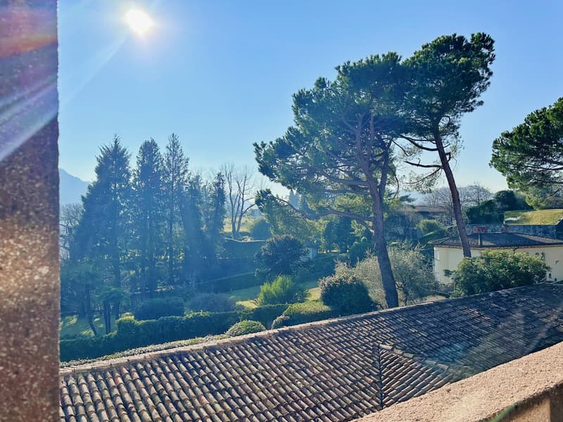 View of a garden with trees and bushes, a house in the background, and a clear blue sky